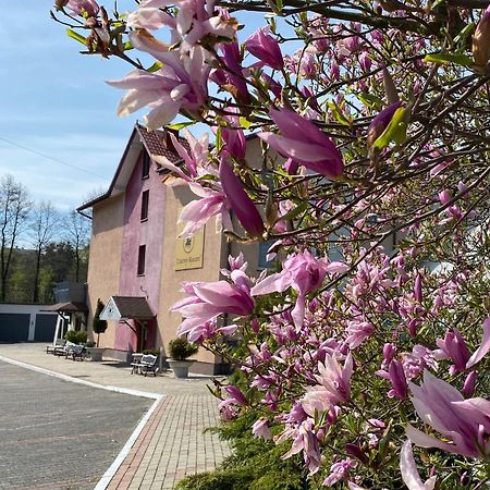 Aparthotel Obiekt "Czarny Rycerz" à Jastrzębie Zdrój Extérieur photo