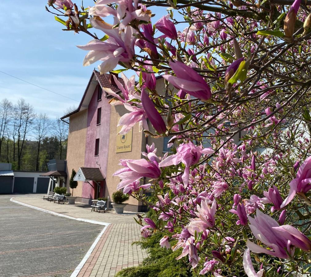 Aparthotel Obiekt "Czarny Rycerz" à Jastrzębie Zdrój Extérieur photo